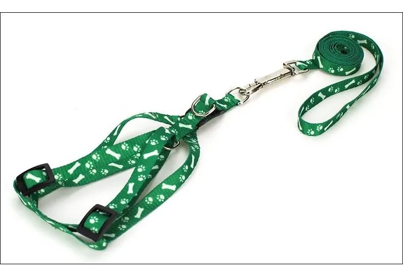 COLLAR+ARNES PERRO PS6121