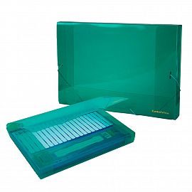 CAJA LAMA DE PLASTICO C/ELASTICO OFICIO DE 2 CM (DC402F)2583119