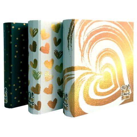 CARPETA REXON 3X40 BORN TO SHINE